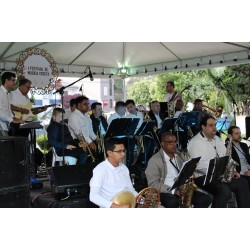 Big Band Orchestra realiza apresentação em Rio Branco do Sul